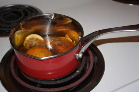 Make it Green: An Easy Natural Home Air Freshener Image